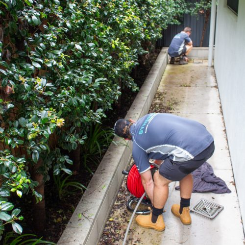 Synergy Trades Group - Plumbers - Our Sunshine Coast plumbers doing pipe leak detection